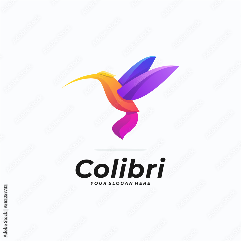 Fototapeta premium Colibri colorful modern logo design vector illustration.