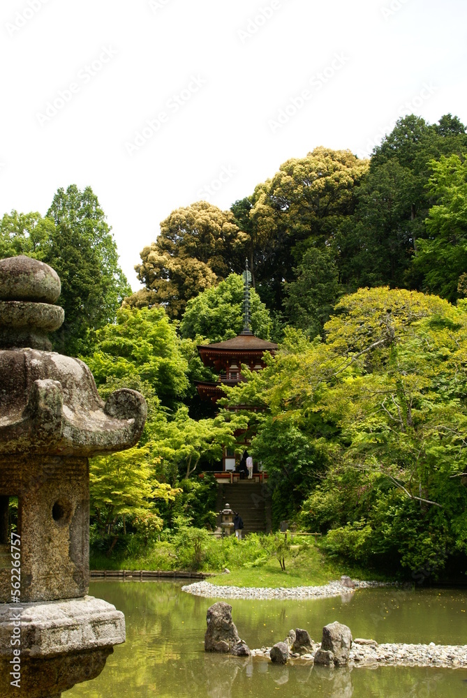 浄瑠璃寺