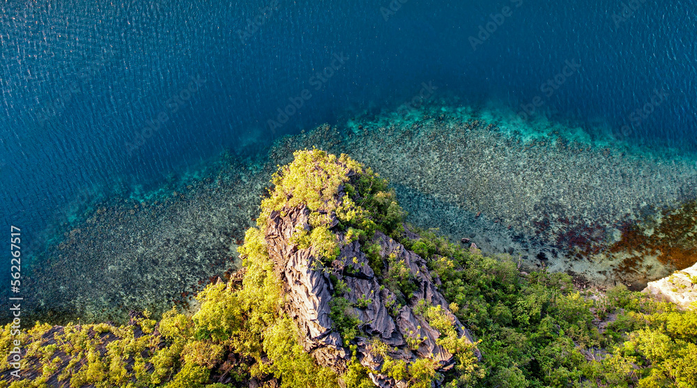 Obraz premium Overhead View of Coral Reef and Karst Cliff in Palawan, Philippines