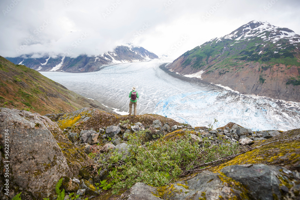 Fototapeta premium Salmon glacier