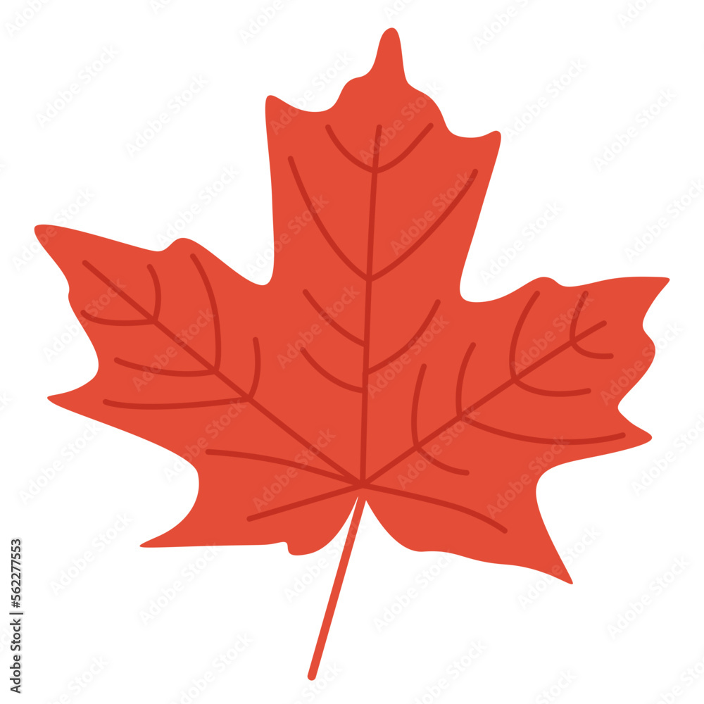 Naklejka premium Autumn leaf