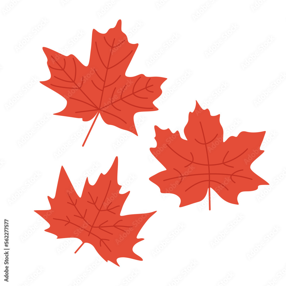 Autumn leaf Autumn leaf