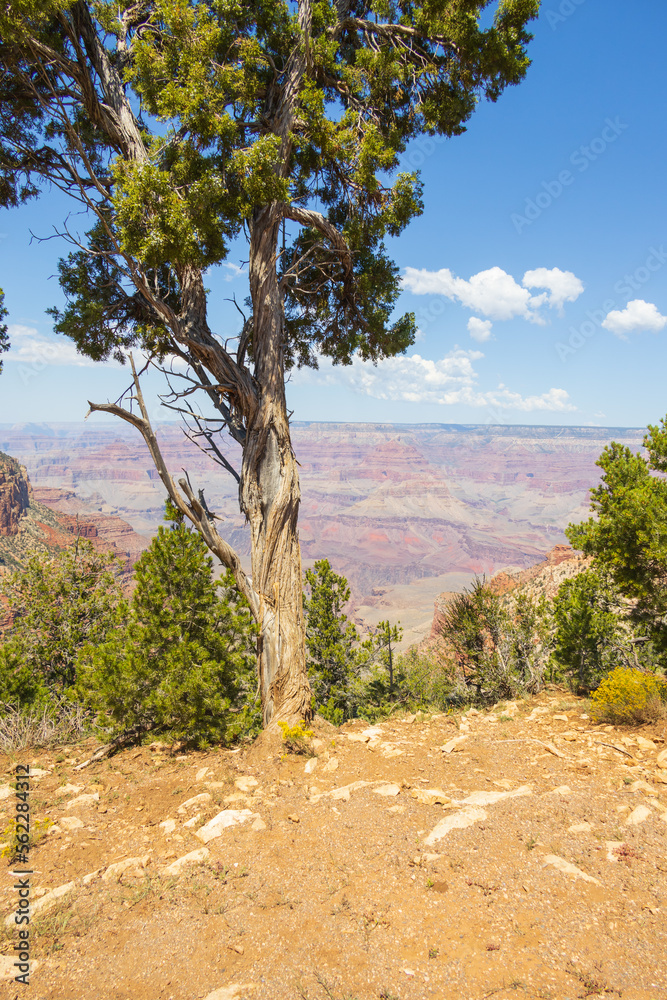 Rock formations on the South Rim edge of Grand Canyon National Park, Arizona, USA