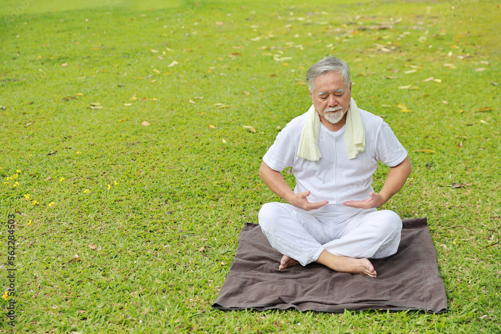 Fototapeta premium Asian senior man practice yoga exercise, stretching, tai chi tranining and meditation while sitting on yoga mat for healthy in park outdoor after retirement. Happy elderly outdoor lifestyle concept