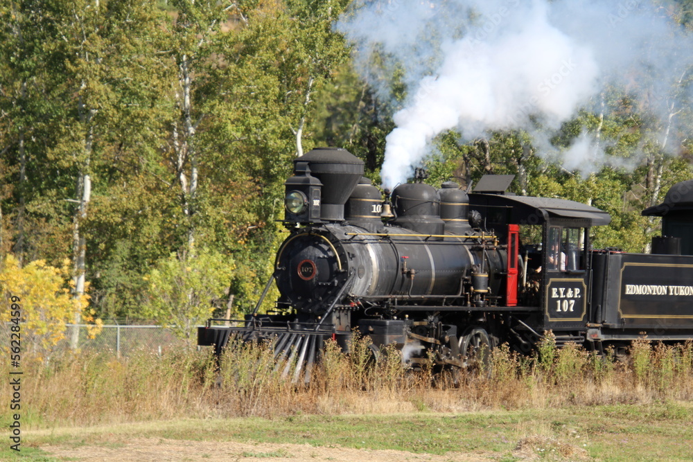 steam train in the forest, Fort Edmonton Park, Edmonton, Alberta steam train in the forest, Fort Edmonton Park, Edmonton, Alberta