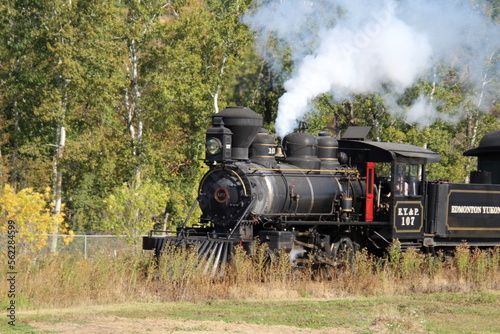 Fototapeta Naklejka Na Ścianę i Meble -  steam train in the forest, Fort Edmonton Park, Edmonton, Alberta