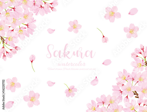 水彩で描いたさくらのフレーム
