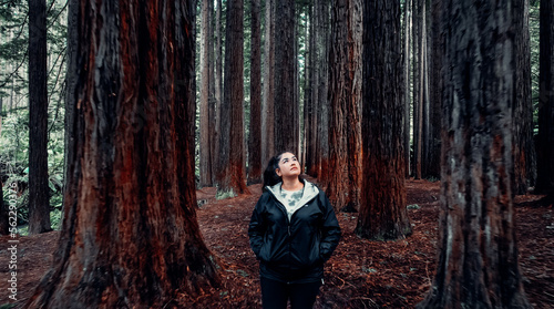 Girl Looks Up A Tall Tree In California Redwood Forest © David
