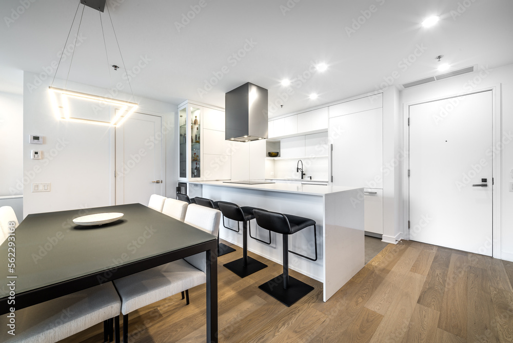 Luxury modern apartment in condominium in Montreal perfectly staged and furnished with amentinites common areas swimming pool, rooftop, terrace, gym, garden and city views