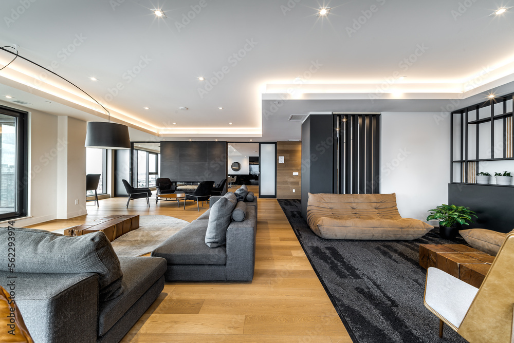 View of Luxury modern apartment in condominium in Montreal perfectly staged and ...