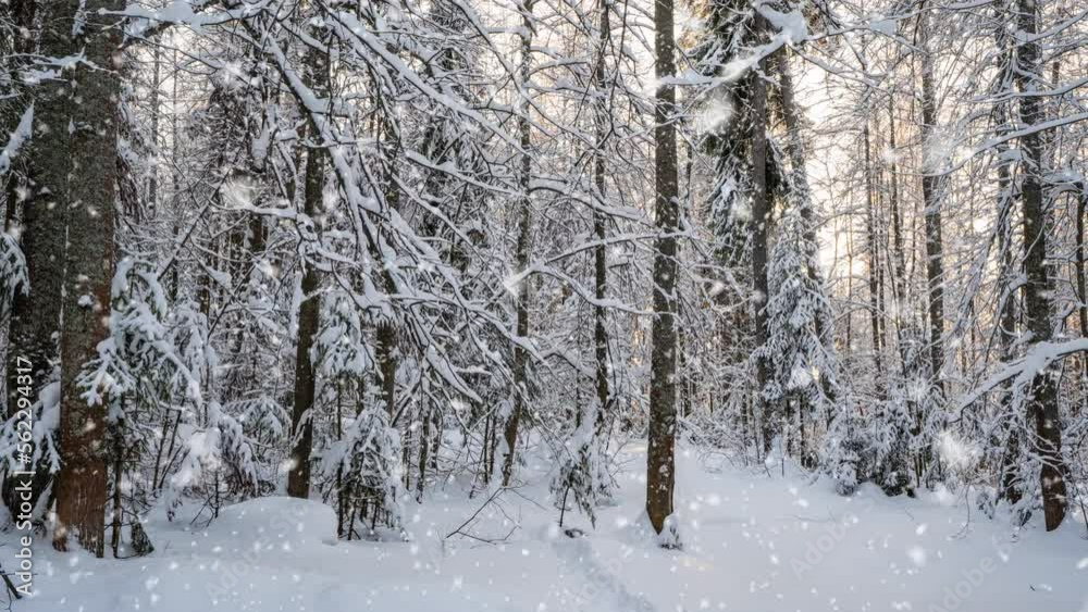 Bright sunny landscape with snow falling snow and a small house in the forest, cinemagraph, video loop Bright sunny landscape with snow falling snow and a small house in the forest, cinemagraph, video loop