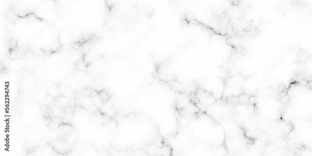 White marble texture panorama background pattern with high resolution. white architecuture italian marble surface and tailes for background or texture.
White marble texture panorama background pattern with high resolution. white architecuture italian marble surface and tailes for background or texture.