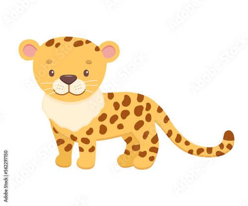 Cute cheetah in cartoon style. Drawing african baby wild cat isolated on white background. Vector sweet tiger for kids poster and card. Jungle animal