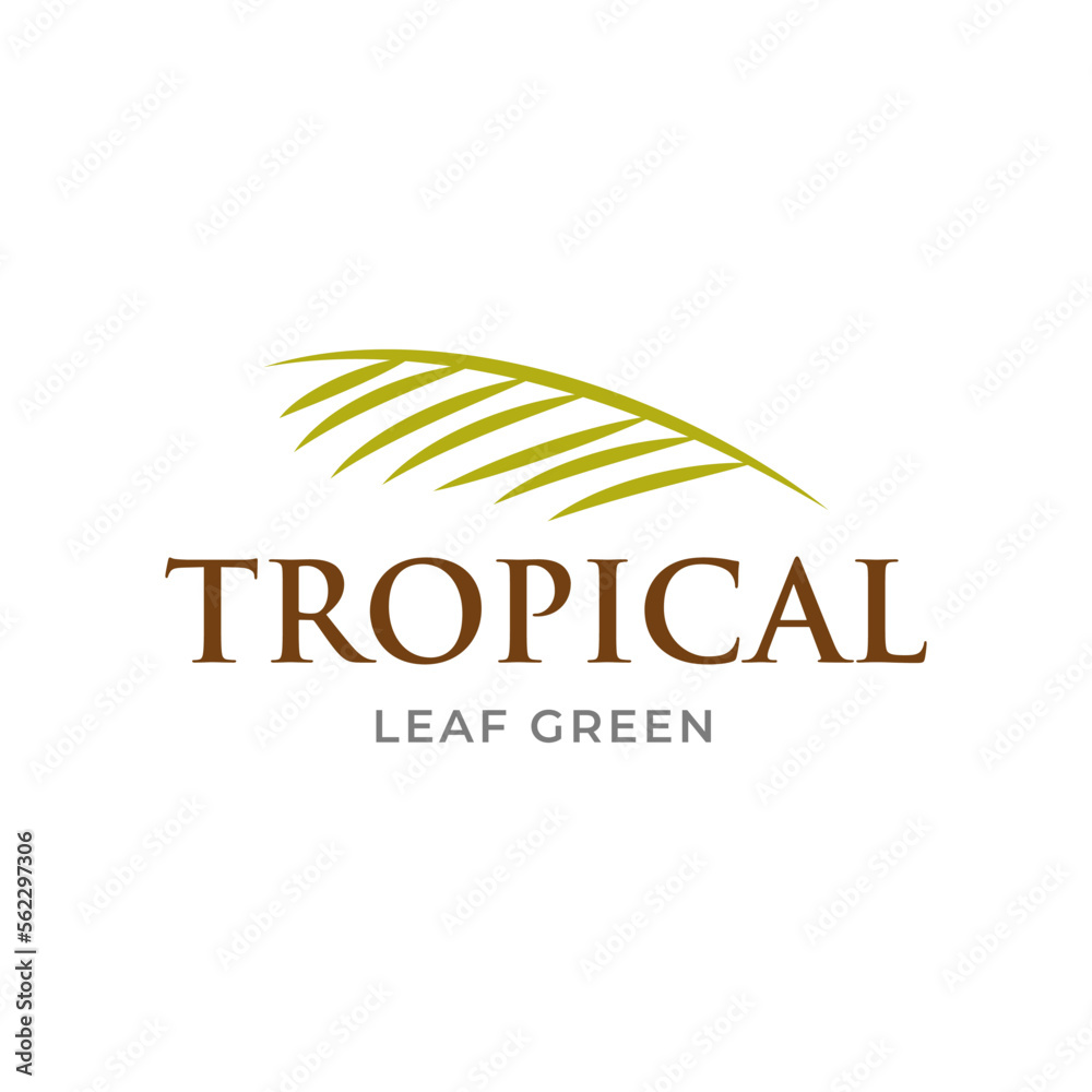 Green Tropical Palm leaf logo vector design template 