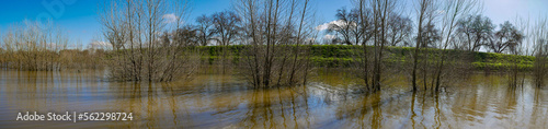 Panorama of flooded area of california with trees underwater 