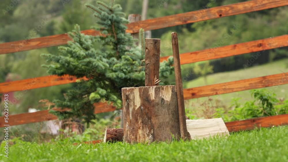 Cut Wood Tree Stump Inside A Fenced Backyard In A Farm. - Closeup, Static Cut Wood Tree Stump Inside A Fenced Backyard In A Farm. - Closeup, Static