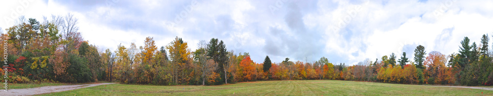 Panoramic view of the public park with autumn leaf colour Panoramic view of the public park with autumn leaf colour