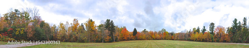 Panoramic view of the public park with autumn leaf colour
