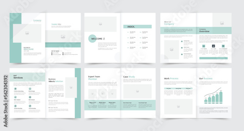 Bifold Business Brochure Design Template