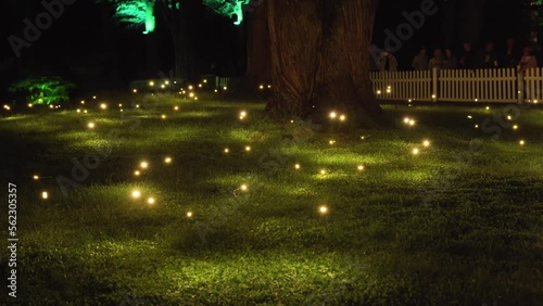 Glowing Lights At Pukekura Park During The Annual Festival Of Lights In New Plymouth, New Zealand. Close Up photo
