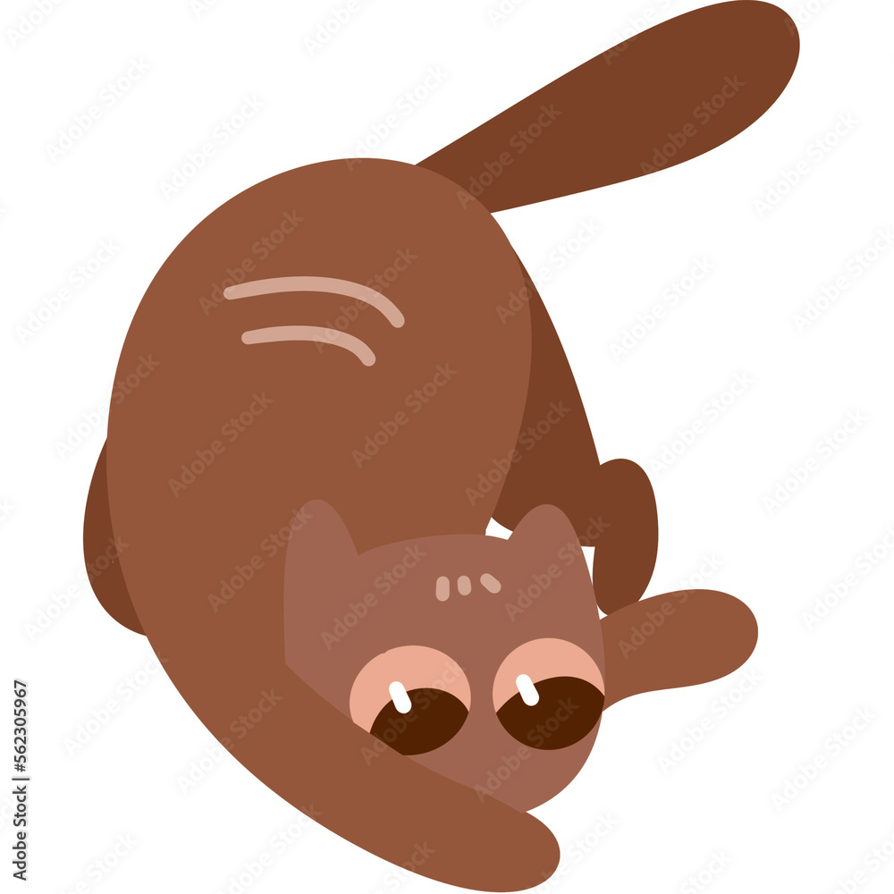 cat, cute, kitty, kawaii, illustration, doodle, flat design, minimal, design, decor, cat head, cat poses, international cat day, paw, joy, happy, cat, cute, kitty, kawaii, illustration, doodle, flat design, minimal, design, decor, cat head, cat poses, international cat day, paw, joy, happy,