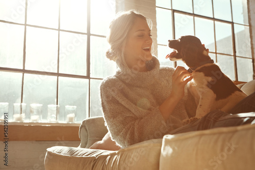 Photography Woman, dog and on couch in living room, happiness and sunshine with girl, happiness and bonding at home