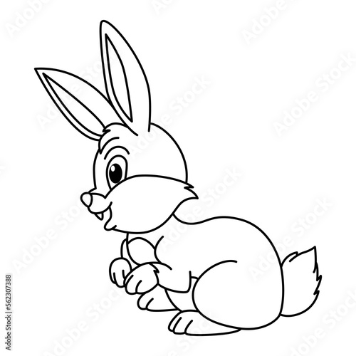 Cute rabbit cartoon characters vector illustration. For kids coloring book.