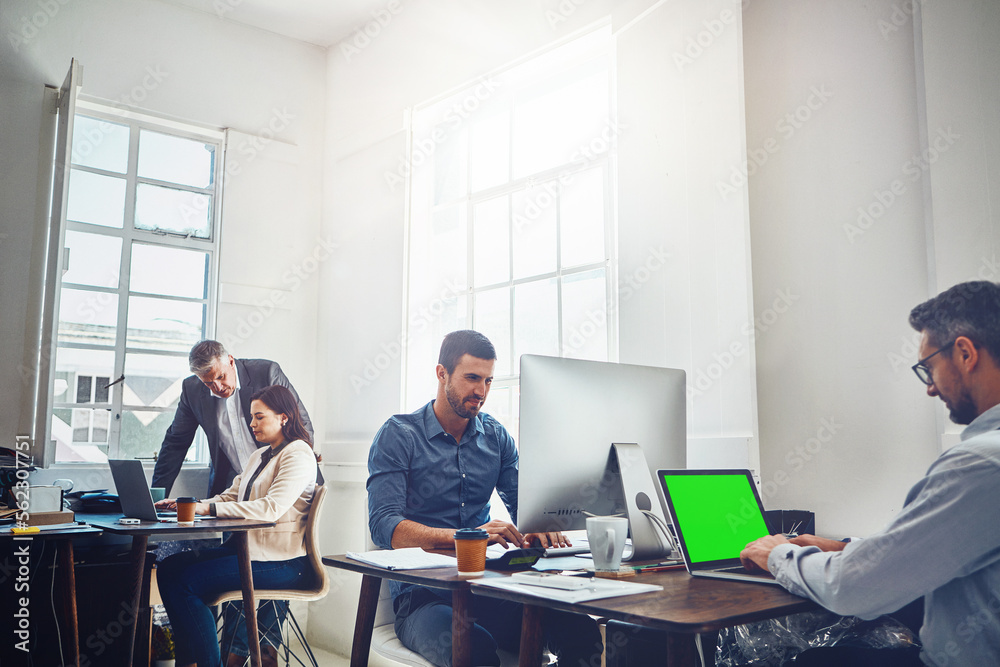 Green screen, laptop and businessman typing at a web design startup company office with a working team. Teamwork, management or group of employees at a coworking agency as a workforce