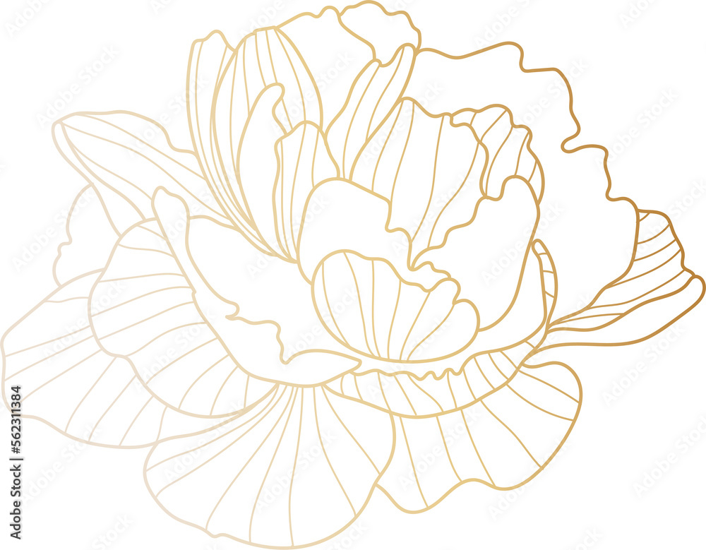 Peony flower gold line art Peony flower gold line art