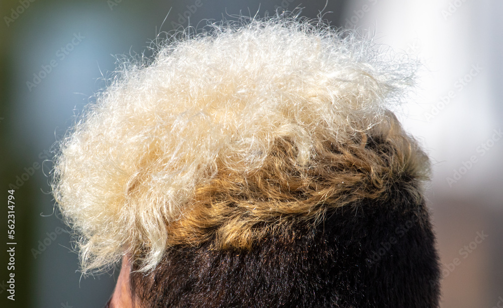 Bleached hair on the head of a man. Bleached hair on the head of a man.