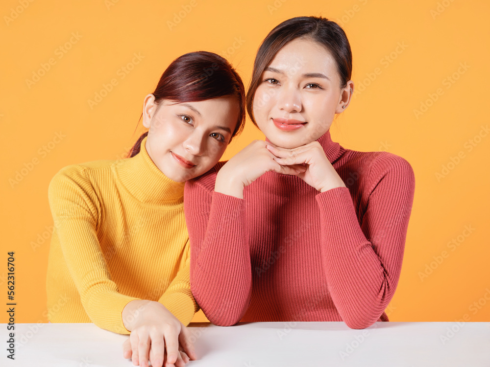 Image of two young Asian woman on background Image of two young Asian woman on background
