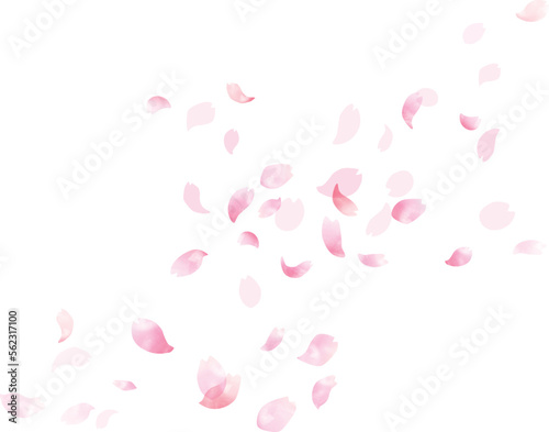 水彩　風に舞う桜の花びらフレーム、背景