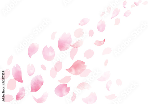 Leinwand Poster 水彩　風に舞う桜の花びらフレーム、背景