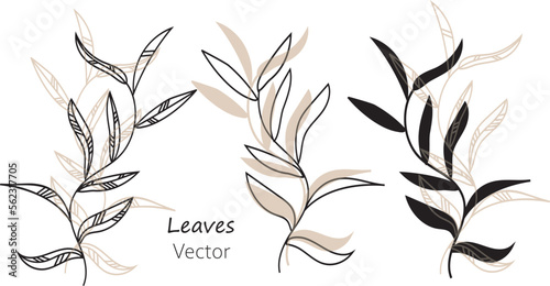 abstract background line art leaves