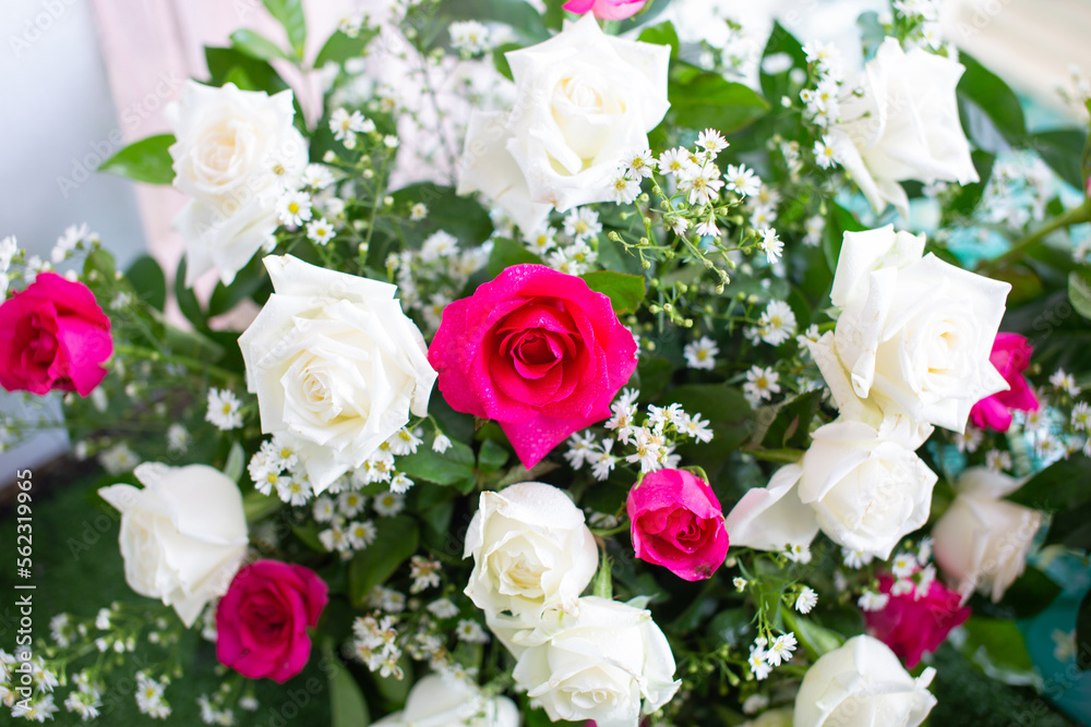Red and white roses are arranged for a good day.