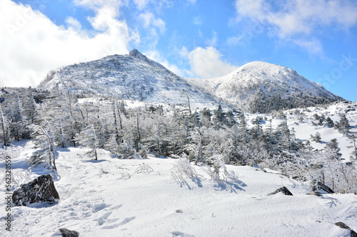 冬の八ヶ岳天狗岳中腹から望む雪化粧の天狗岳山頂