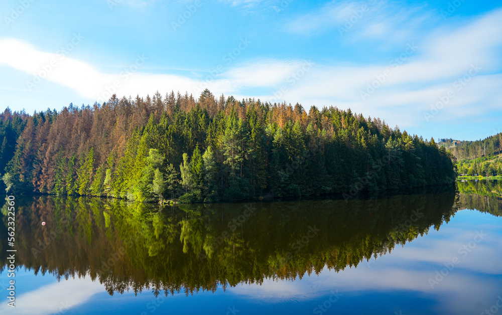 Obraz premium Oker reservoir near Altenau in the Harz Mountains. View from the Okertalsperre to the Oker See and the surrounding landscape. Idyllic nature by the water. 