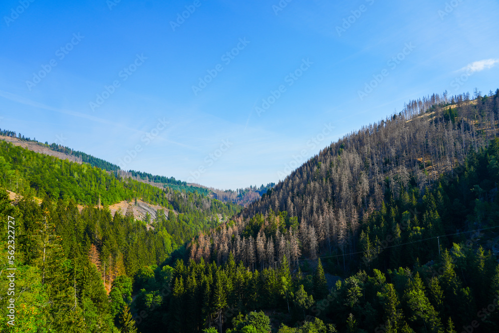 Fototapeta premium View from the Okertalsperre to the surrounding landscape with mountains and forests.