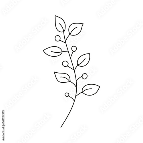 Hand drawn branch with leaves