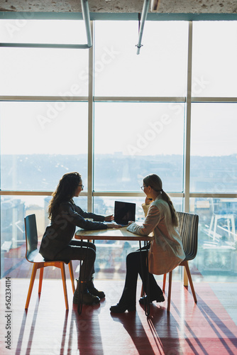 Two female co-workers and colleagues discussing working together on business project using laptop, female executive explaining new online idea to co-worker analyzing compute