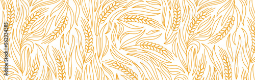 Cereal pattern background. Grains and ears of wheat, rye or barley. Wrapping paper for bread. Vector illustration.