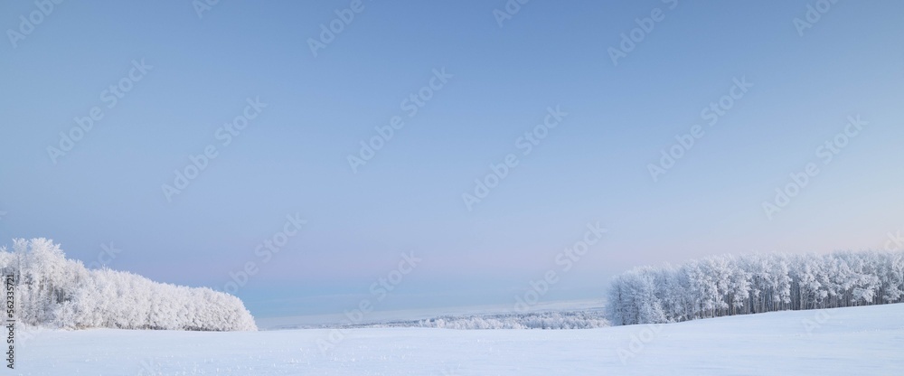 A frosty morning central Alberta Canada A frosty morning central Alberta Canada