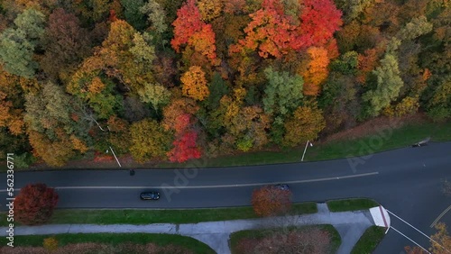 Top down aerial view of cars driving on paved road in beautiful national park during autumn season change. Colorful foliage surrounds both sides of road in reserve. photo