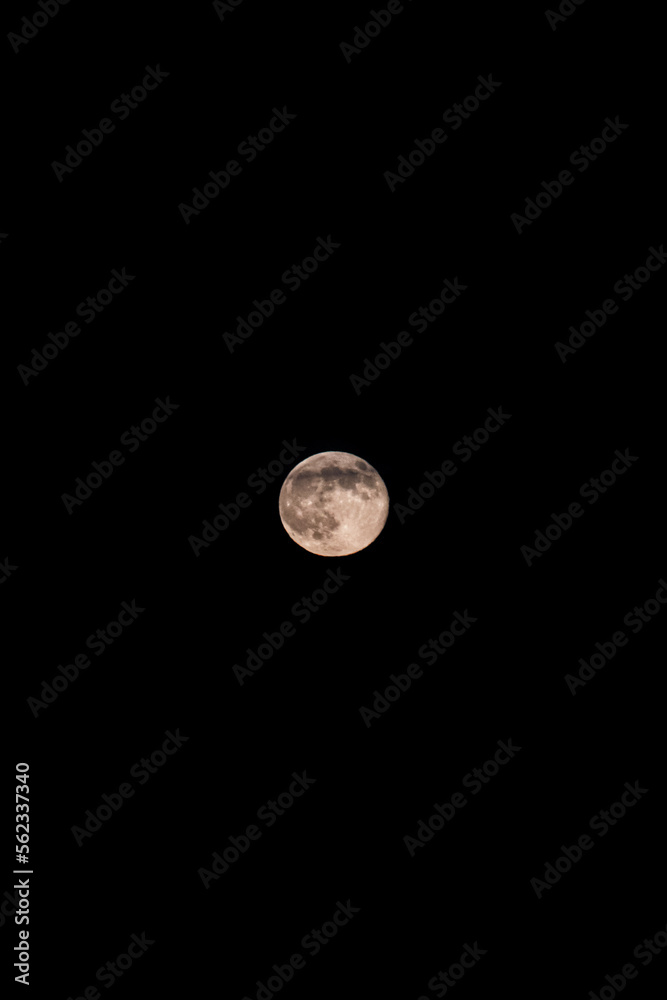 moon in the night. moon in the sky. astronomy photo. Close up planet. cosmos, earth, space, night sky with full moon. moonlight on the dark sky. universe without stars. bright lights planet moon in the night. moon in the sky. astronomy photo. Close up planet. cosmos, earth, space, night sky with full moon. moonlight on the dark sky. universe without stars. bright lights planet