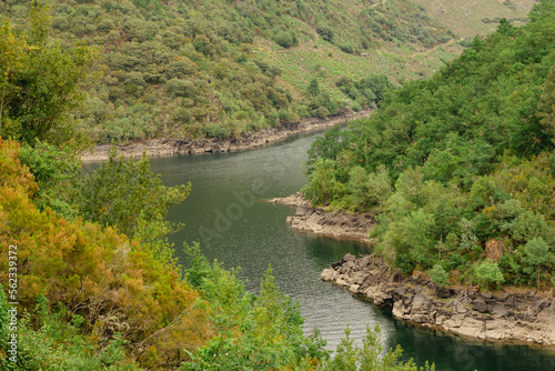 Point at the mouth of a river in a natural area