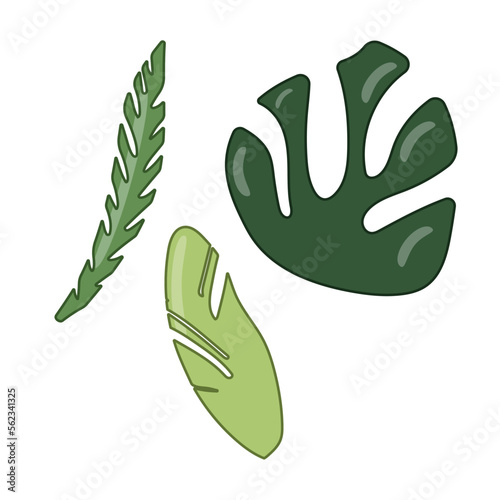 Tropical leaves, leaves set. Plants on a white