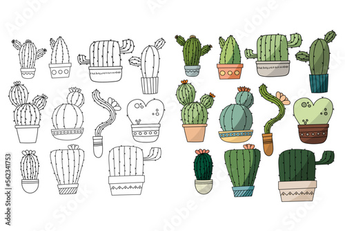 Cactus for adult and children coloring book. Flat