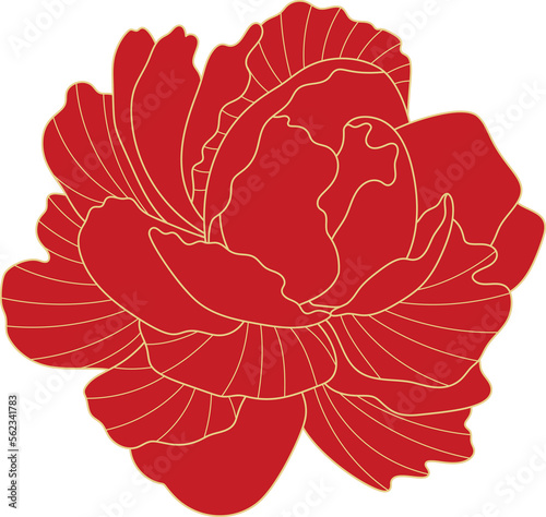 Oriental red peony flower