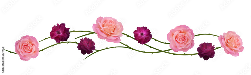 Red and pink roses. Floral pattern. Flowers. Leaves. Isolated. Border.