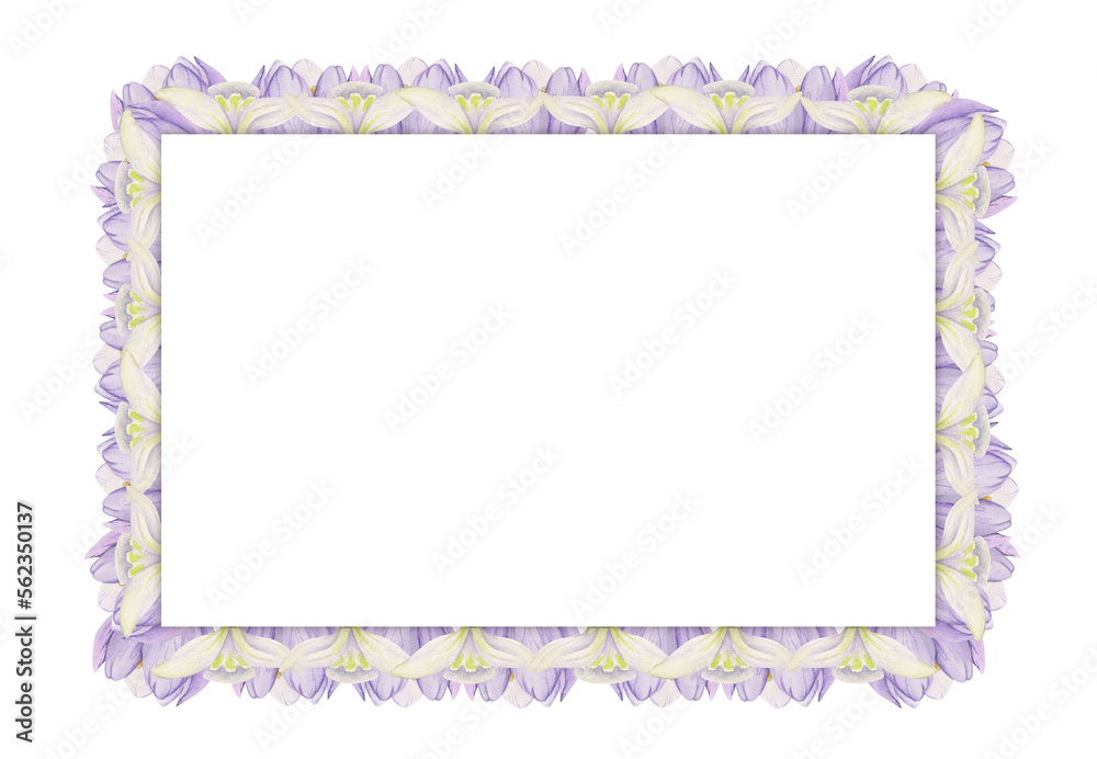 Watercolor hand drawn square frame with spring flowers, crocus, snowdrops, branches, leaves. Isolated on white background. Design for invitations, wedding, greeting cards, wallpaper, print, textile.